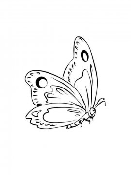 Раскраска Бабочка 10 - Бесплатно распечатать