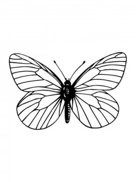 Раскраска Бабочка 14 - Бесплатно распечатать