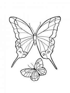 Раскраска Бабочка 17 - Бесплатно распечатать