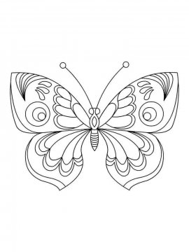 Раскраска Бабочка 29 - Бесплатно распечатать