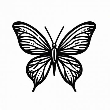 Раскраска Бабочка 40 - Бесплатно распечатать