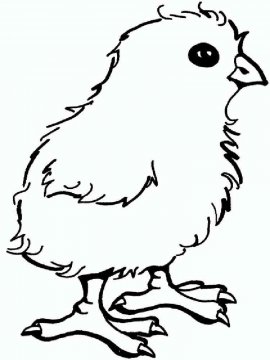 Раскраска Цыпленок 8 - Бесплатно распечатать