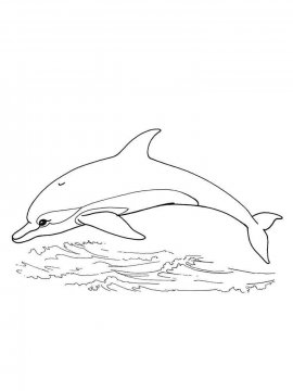 Раскраска Дельфин 13 - Бесплатно распечатать