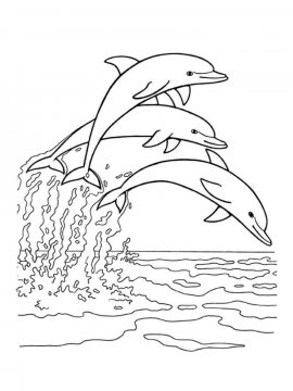 Раскраска Дельфин 14 - Бесплатно распечатать