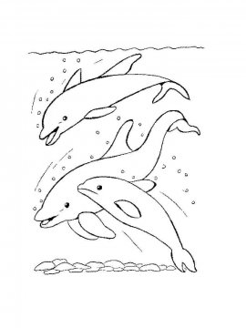 Раскраска Дельфин 18 - Бесплатно распечатать