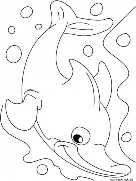 Раскраска Дельфин 30 - Бесплатно распечатать
