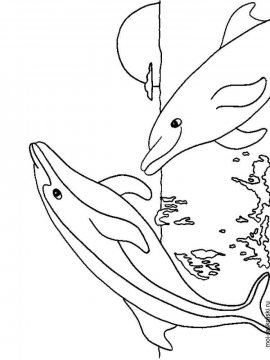 Раскраска Дельфин 34 - Бесплатно распечатать