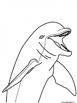 Раскраска Дельфин 36 - Бесплатно распечатать