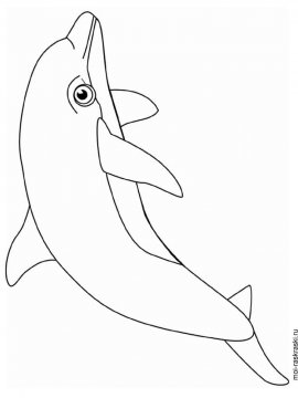 Раскраска Дельфин 37 - Бесплатно распечатать