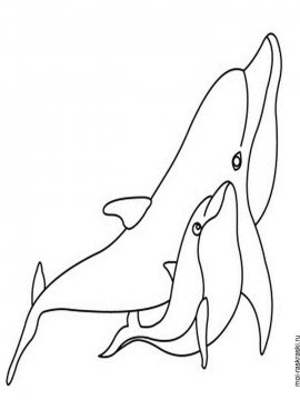 Раскраска Дельфин 38 - Бесплатно распечатать
