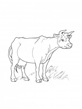 Раскраска Большая корова