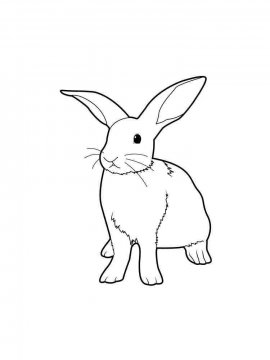 Раскраска Кролик 25 - Бесплатно распечатать