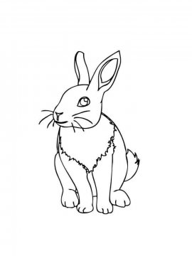 Раскраска Кролик 27 - Бесплатно распечатать