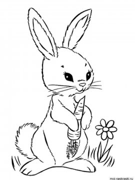 Раскраска Кролик 1 - Бесплатно распечатать