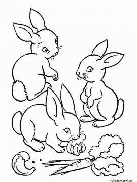 Раскраска Кролик 12 - Бесплатно распечатать