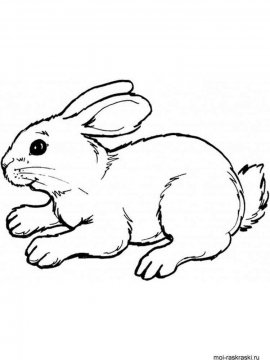 Раскраска Кролик 13 - Бесплатно распечатать