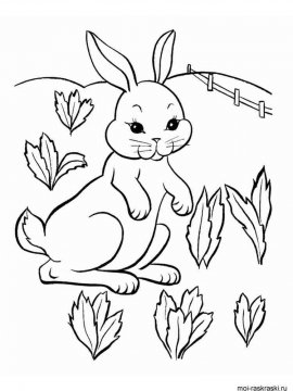 Раскраска Кролик 16 - Бесплатно распечатать