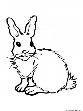Раскраска Кролик 8 - Бесплатно распечатать