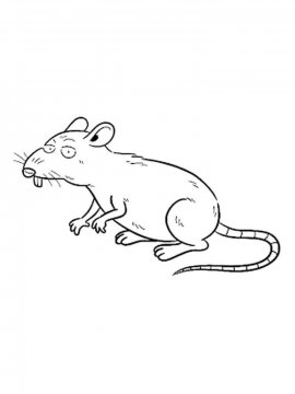 Раскраска Крыса 1 - Бесплатно распечатать