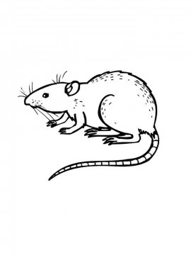 Раскраска Крыса 11 - Бесплатно распечатать