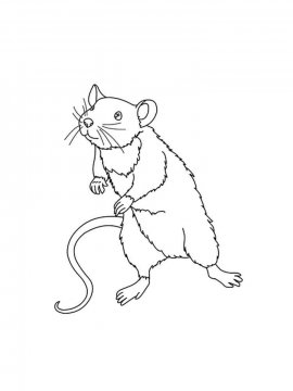 Раскраска Крыса 3 - Бесплатно распечатать