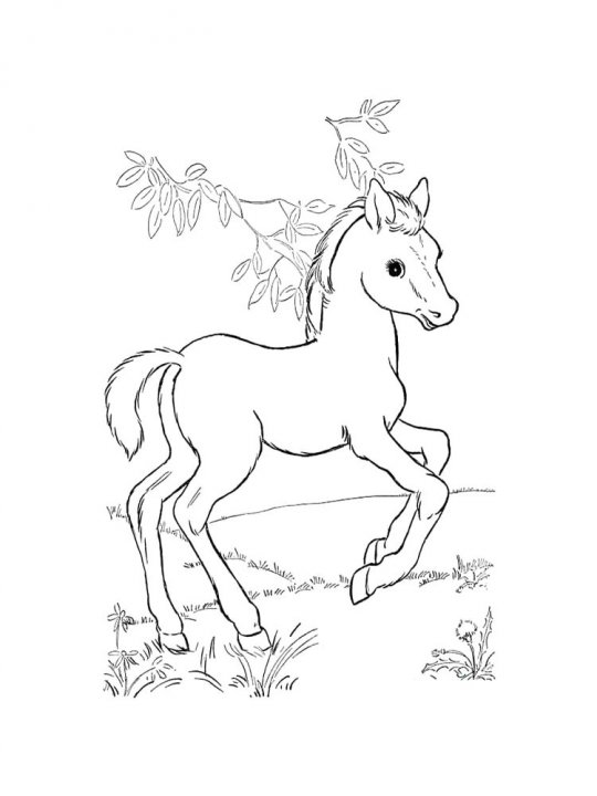 Раскраски лошади - распечатать в формате А4