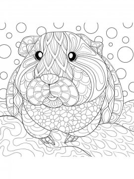 Раскраска Морская Свинка 4 - Бесплатно распечатать