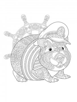 Раскраска Морская Свинка 5 - Бесплатно распечатать