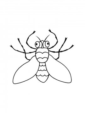 Раскраска Муха для детей