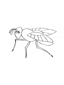 Раскраска Муха из мультика