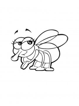 Раскраска Милая муха