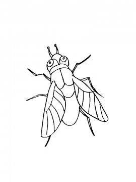 Раскраска Муха в мультяшном стиле