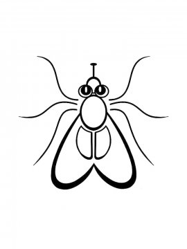 Раскраска Простая муха