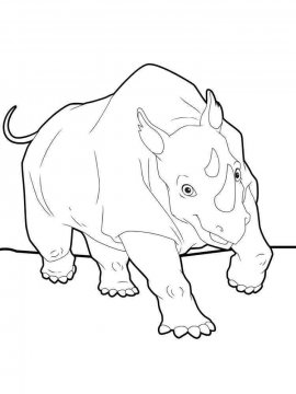 Раскраска Носорог 11 - Бесплатно распечатать