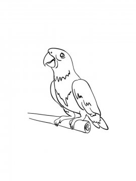 Раскраска Домашние птицы 20 - Бесплатно распечатать
