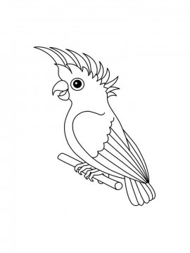 Раскраска Домашние птицы 7 - Бесплатно распечатать