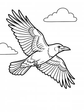 Раскраска Грач парит в небе с облаками