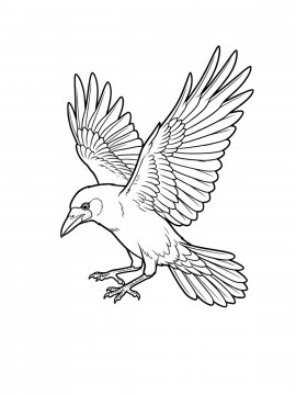 Раскраска Грач расправил крылья