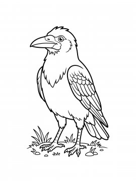 Раскраска Грач на траве