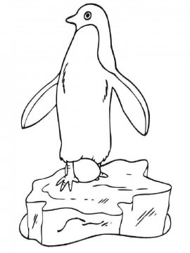 Раскраска Пингвин 13 - Бесплатно распечатать