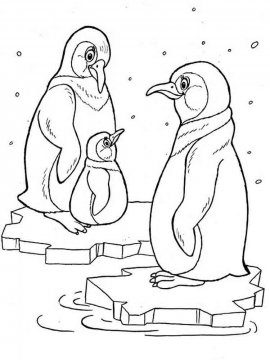 Раскраска Пингвин 6 - Бесплатно распечатать