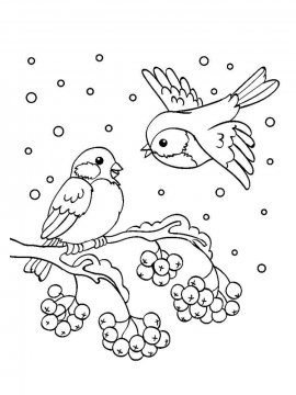 Раскраска Снегирь на ветке 19 - Бесплатно распечатать