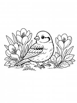 Moi Raskraski Vorobey 24