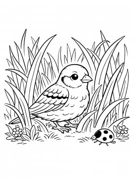 Moi Raskraski Vorobey 25