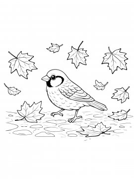 Moi Raskraski Vorobey 26