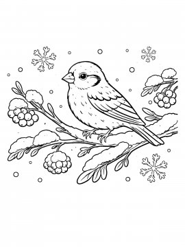 Moi Raskraski Vorobey 27