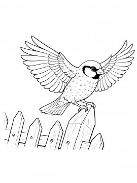 Moi Raskraski Vorobey 29