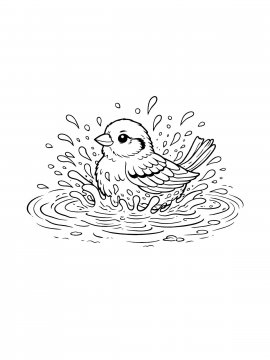 Moi Raskraski Vorobey 30