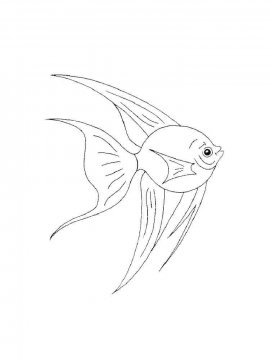 Раскраска Аквариумная рыбка 15 - Бесплатно распечатать