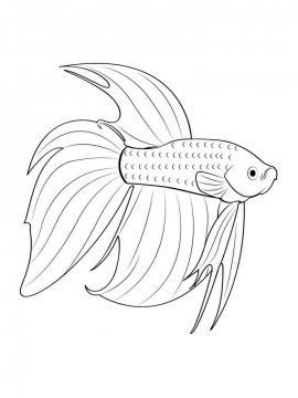 Раскраска Аквариумная рыбка 16 - Бесплатно распечатать